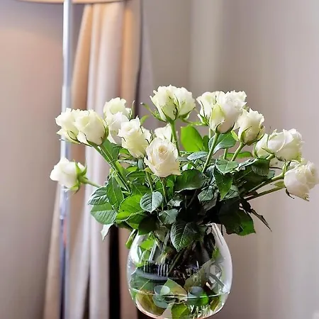 116 Duzy Rodzinny Z Aneksem Kuchennym 200 M Od Morza * Kołobrzeg